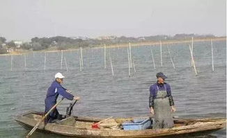 聚焦水韻江蘇 環(huán)保技術(shù)驅(qū)動(dòng)，多地水污染防治成效顯著