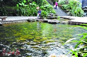 2017年廣州市兩會(huì) 水務(wù)局預(yù)算劍指水污染治理，高效著力環(huán)保技術(shù)開(kāi)發(fā)服務(wù)